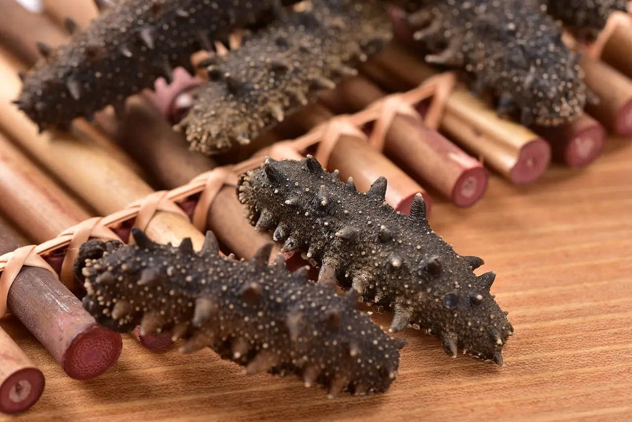 来自深海的奢华滋补