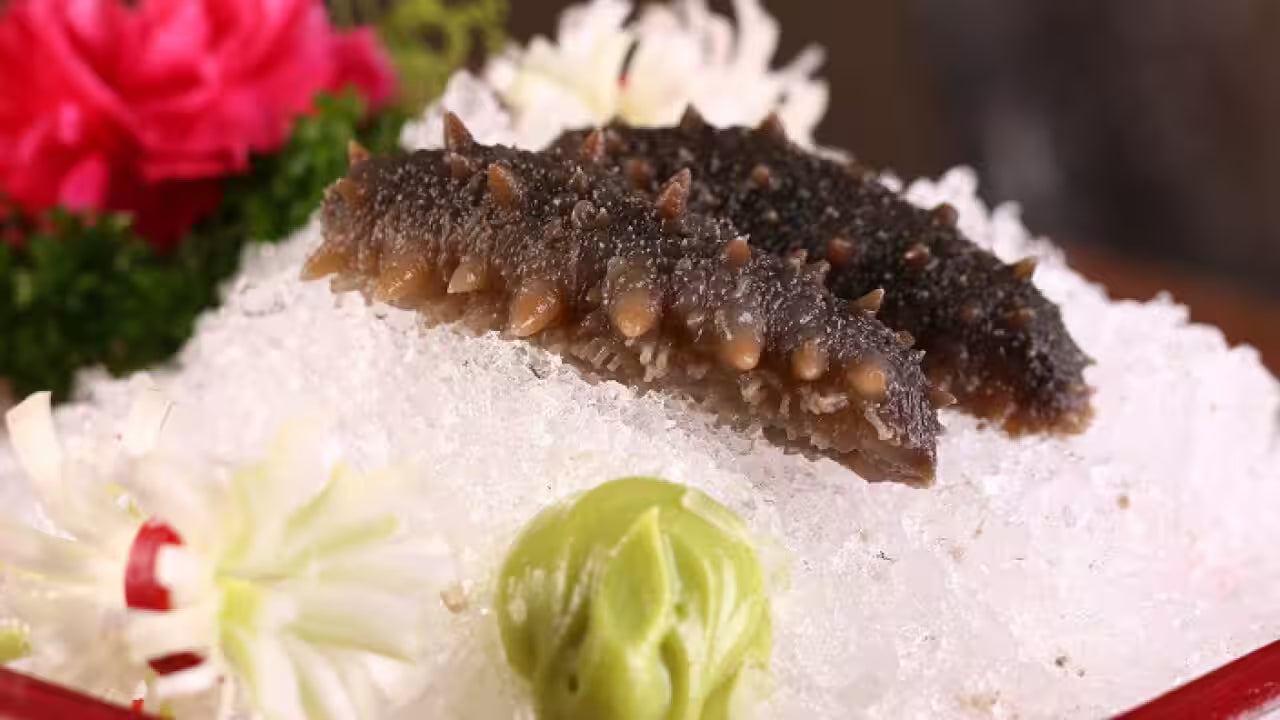 健康与格调的完美融合